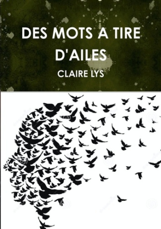 Des mots a tire d'ailes