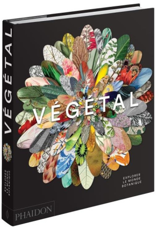 Végétal. Explorer le monde botanique