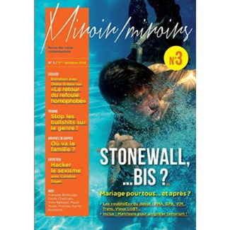 Miroir/Miroirs N° 3, 2e semestre 2014 : Stonewall... bis ? Les oublié(e)s du mariage pour tous...