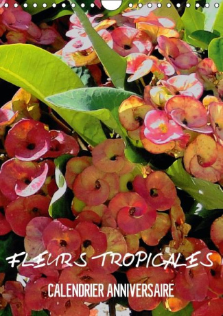 Fleurs tropicales. Calendrier anniversaire