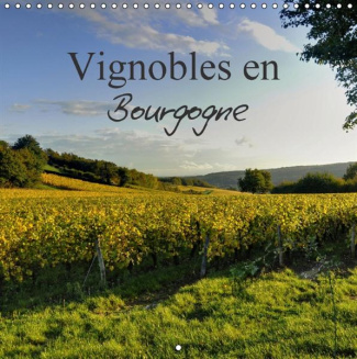 VIGNOBLES EN BOURGOGNE CALENDRIER MURAL 2016 300 300 MM SQUARE