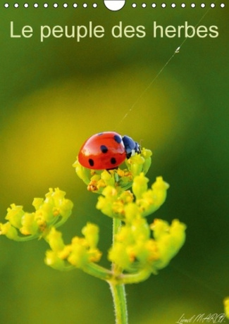 Le peuple des herbes. Photos d'insectes. Calendrier mural A4 vertical 2016