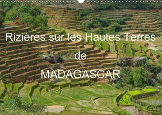 RIZIERES SUR LES HAUTES TERRES DE MADAGASCAR CALENDRIER MURAL 2016 DIN A3 HORIZO