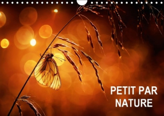 PETIT PAR NATURE CALENDRIER MURAL 2016 DIN A4 HORIZONTAL