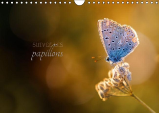 SUIVEZ LES PAPILLONS CALENDRIER MURAL 2016 DIN A4 HORIZONTAL