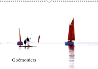 GOEMONIERS CALENDRIER MURAL 2016 DIN A3 HORIZONTAL