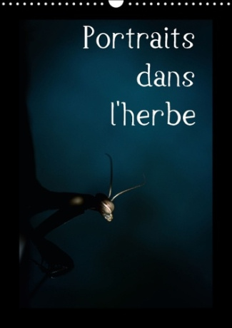 PORTRAITS DANS L HERBE CALENDRIER MURAL 2016 DIN A3 VERTICAL