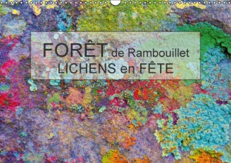 FORET DE RAMBOUILLET LICHENS EN FETE CALENDRIER MURAL 2016 DIN A3 HORIZONTAL