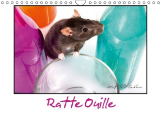 RATTE OUILLE CALENDRIER MURAL 2016 DIN A4 HORIZONTAL