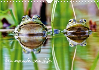 UN MONDE SENSIBLE CALENDRIER MURAL 2016 DIN A4 HORIZONTAL