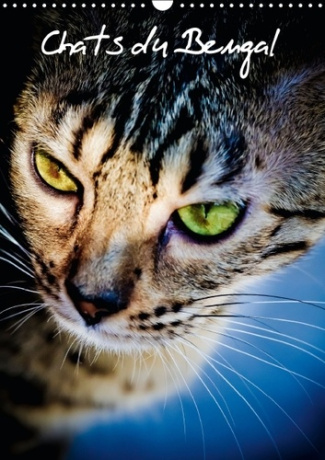 CHATS DU BENGAL CALENDRIER MURAL 2016 DIN A3 VERTICAL