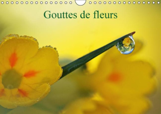 GOUTTES DE FLEURS CALENDRIER MURAL 2016 DIN A4 HORIZONTAL