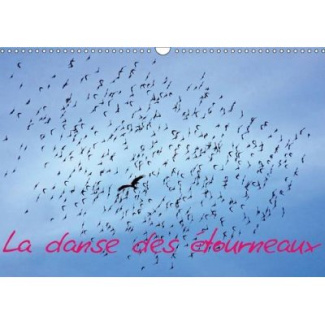 LA DANSE DES ETOURNEAUX CALENDRIER MURAL 2016 DIN A3 HORIZONTAL