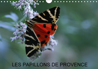 LES PAPILLONS DE PROVENCE CALENDRIER MURAL 2016 DIN A4 HORIZONTAL