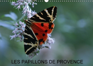 LES PAPILLONS DE PROVENCE CALENDRIER MURAL 2016 DIN A3 HORIZONTAL