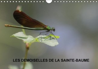 LES DEMOISELLES DE LA SAINTE BAUME CALENDRIER MURAL 2016 DIN A4 HORIZONTAL