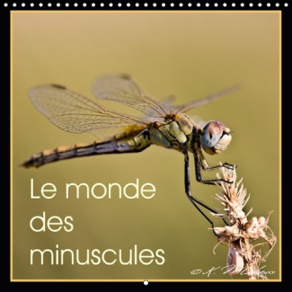 MISE EN BEAUTE DES ARTHROPODES
