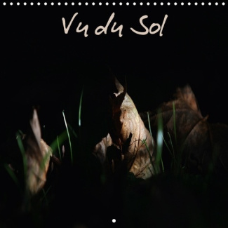 UN REGARD DE LA NATURE AU RAS