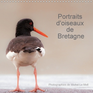 12 PHOTOGRAPHIES DE PROXIMITE