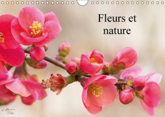 FLEURS ET NATURE CALENDRIER MURAL 2017 DIN A4 HORIZONTAL - POESIE DES FLEURS AU COURS DES
