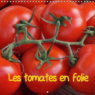 LE MEILLEUR DES TOMATES REUNI