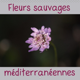 UN CALENDRIER AVEC UNE FLEUR S