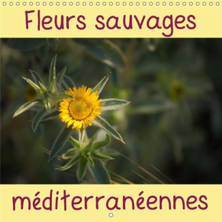 FLEURS SAUVAGES MEDITERRANEENNES CALENDRIER MURAL 2018 300 3 - UN CALENDRIER AVEC UNE FLEUR S
