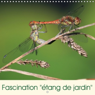 FASCINATION ETANG DE JARDIN CALENDRIER MURAL 2018 300 300 MM - UN PARADIS POUR LES PLANTES ET