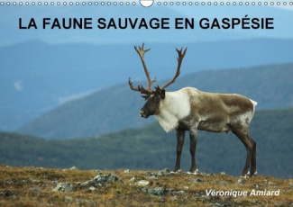 LA FAUNE SAUVAGE EN GASPESIE CALENDRIER MURAL 2018 DIN A3 HO - BIENVENUE DANS LE MONDE DES AN