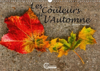 LES COULEURS DE L AUTOMNE CALENDRIER MURAL 2018 DIN A3 HORIZ - DAME NATURE NOUS OFFRE UNE DIV