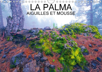 LA PALMA AIGUILLES ET MOUSSES CALENDRIER MURAL 2018 DIN A4 H - AIGUILLES ET MOUSSES DES PINED