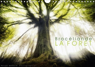 BROCELIANDE LA FORET CALENDRIER MURAL 2018 DIN A4 HORIZONTAL - PHOTOGRAPHIES DE LA FORET DE B