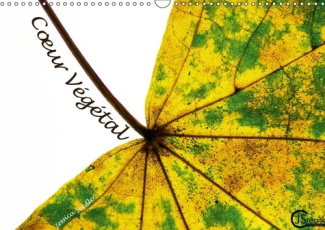 C UR VEGETAL CALENDRIER MURAL 2018 DIN A3 HORIZONTAL - AU C UR DES FEUILLES D AUTOMNE