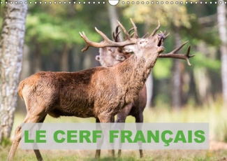 LE CERF FRANCAIS CALENDRIER MURAL 2018 DIN A3 HORIZONTAL - PHOTOS DE CERFS EN FRANCE CALE