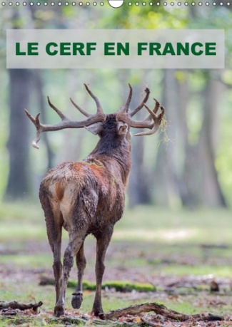 LE CERF EN FRANCE CALENDRIER MURAL 2018 DIN A3 VERTICAL - PHOTOGRAPHIES DE CERFS EN FRAN