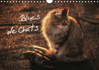 BLUES DE CHATS CALENDRIER MURAL 2018 DIN A4 HORIZONTAL - DES CHATS ELEVES AVEC LE BLUES