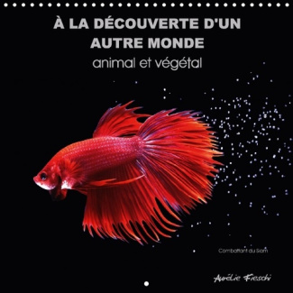 A LA DECOUVERTE D UN AUTRE MONDE ANIMAL ET VEGETAL CALENDRIE - UN UNIVERS GRAPHIQUE ET FEERIQ