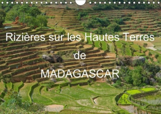 RIZIERES SUR LES HAUTES TERRES DE MADAGASCAR CALENDRIER MURA - PAYSAGES DE RIZIERES EN TERRAS