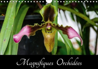 MAGNIFIQUES ORCHIDEES CALENDRIER MURAL 2018 DIN A4 HORIZONTA - BELLES PHOTOGRAPHIES D ORCHIDE
