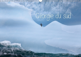 GEORGIE DU SUD CALENDRIER MURAL 2018 DIN A3 HORIZONTAL - VIE SAUVAGE SUR UNE LE LOINTAI