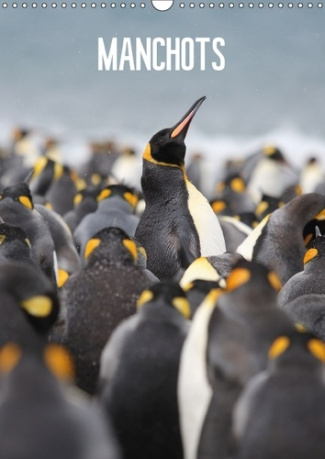 MANCHOTS CALENDRIER MURAL 2018 DIN A3 VERTICAL - LA VIE FANTASTIQUE DES FAMILLE