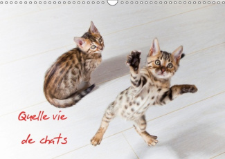 QUELLE VIE DE CHATS CALENDRIER MURAL 2018 DIN A3 HORIZONTAL - CHATS ET CHATONS CALENDRIER ME