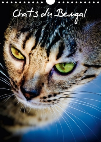CHATS DU BENGAL CALENDRIER MURAL 2018 DIN A4 VERTICAL - CHATONS DU BENGAL ET LEUR MAMA