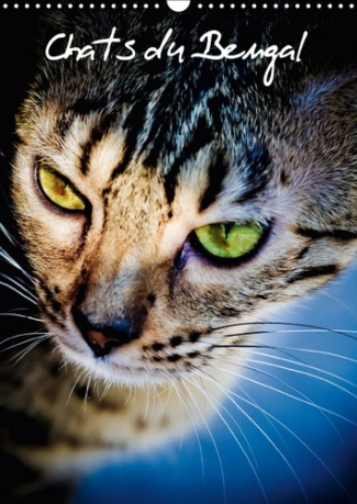 CHATS DU BENGAL CALENDRIER MURAL 2018 DIN A3 VERTICAL - CHATONS DU BENGAL ET LEUR MAMA