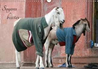 SOYONS BEEETES CALENDRIER MURAL 2018 DIN A3 HORIZONTAL - SOYONS BEEETES VOYAGE ANIMALIE
