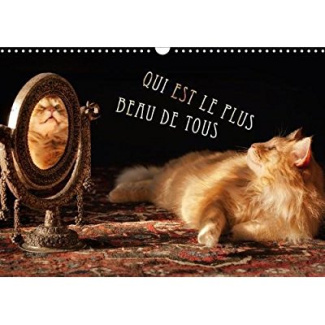 QUI EST LE PLUS BEAU DE TOUS CALENDRIER MURAL 2018 DIN A3 HO - CHATS ELEVES DANS L EXAMEN BEA