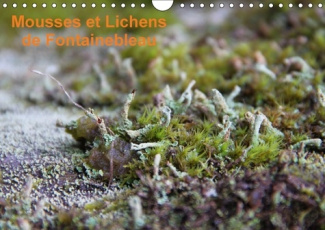 MOUSSES ET LICHENS DE FONTAINEBLEAU CALENDRIER MURAL 2018 DI - 12 PHOTOS DES MOUSSES ET LICHE