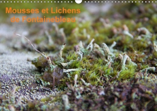 MOUSSES ET LICHENS DE FONTAINEBLEAU CALENDRIER MURAL 2018 DI - 12 PHOTOS DES MOUSSES ET LICHE