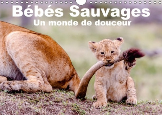 BEBES SAUVAGES UN MONDE DE DOUCEUR CALENDRIER MURAL 2018 DIN - BEBES MAMIFERES DANS LEUR ENVI