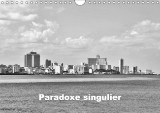 PARADOXE SINGULIER CALENDRIER MURAL 2018 DIN A4 HORIZONTAL - QUELQUES SCENES URBAINES TEMOI